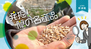 栄養豊富でおいしいと話題！スペルト小麦が名張で栽培/発掘！隠(なばり)の名産品#1